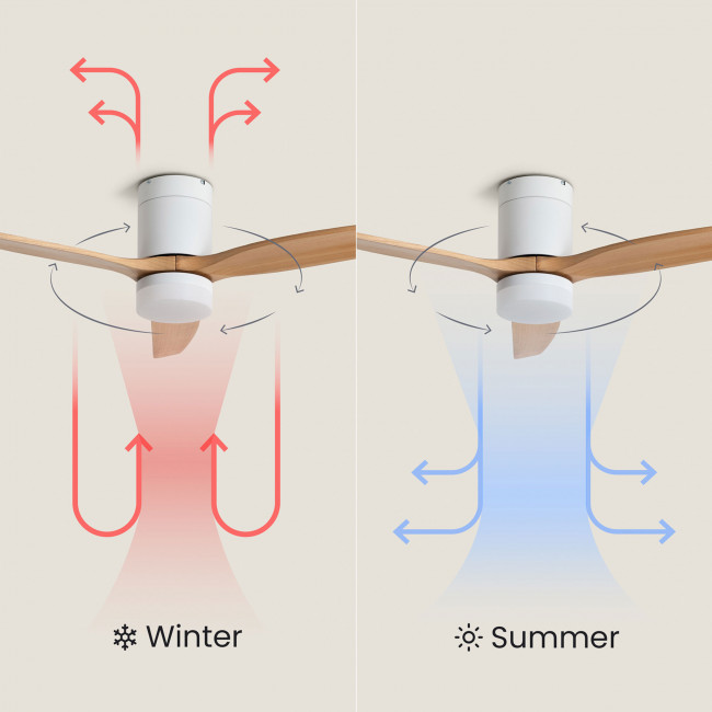 Halo - Ventilateur de plafond silencieux avec éclairage LED intégré